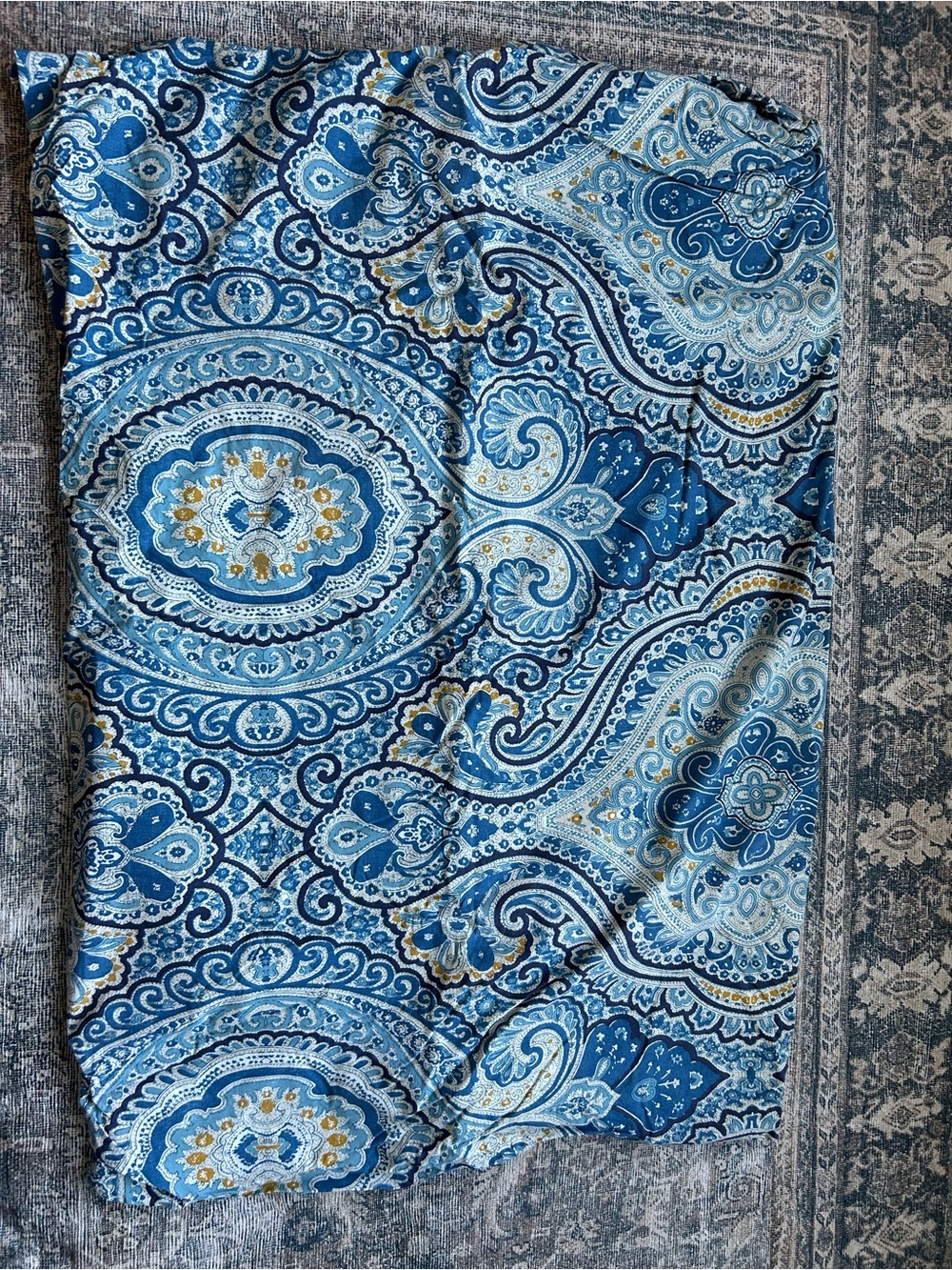 Pottery Barn Blue Paisley Medallion Duvet Cover & 2 euro shams